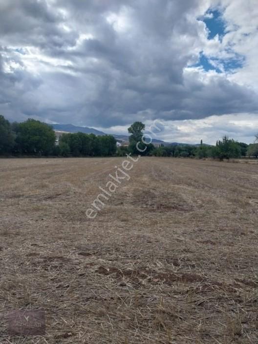 Kemalpaşa Mahallesi Ana Yola Yakın, Su Harklı 5.364m² Tarla — fotoğraf 13
