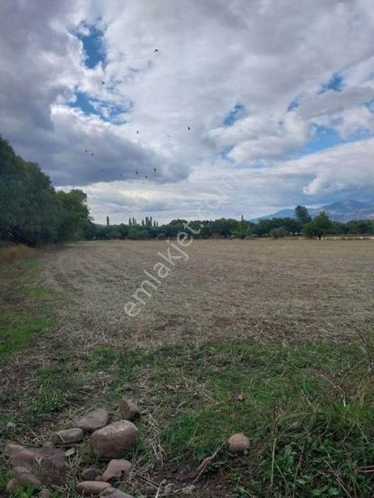 Kemalpaşa Mahallesi Ana Yola Yakın, Su Harklı 5.364m² Tarla — fotoğraf 14