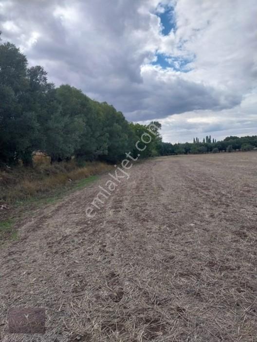 Kemalpaşa Mahallesi Ana Yola Yakın, Su Harklı 5.364m² Tarla — fotoğraf 15