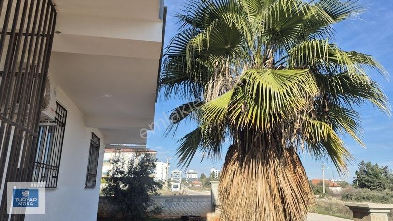 Kepez Kütükçü Fevzi Çakmak'ta Satılık 46m2 Eşyalı 1+1 Daire — fotoğraf 16