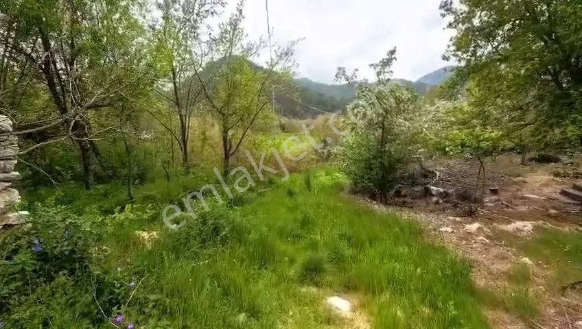 Fethiye Nif,de 1838 M2 İçinde Köy Evi — fotoğraf 5