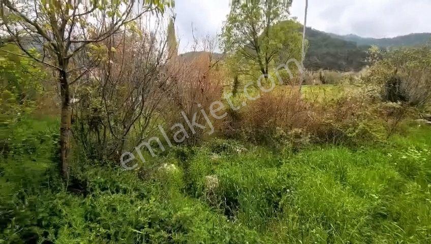 Fethiye Nif,de 1838 M2 İçinde Köy Evi — fotoğraf 7