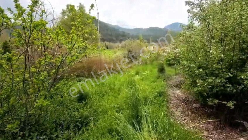 Fethiye Nif,de 1838 M2 İçinde Köy Evi — fotoğraf 8