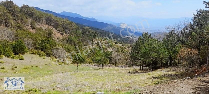 Çilekli'de Resmi Yol Su 1590 M2 Oksijen Deposu Tarla