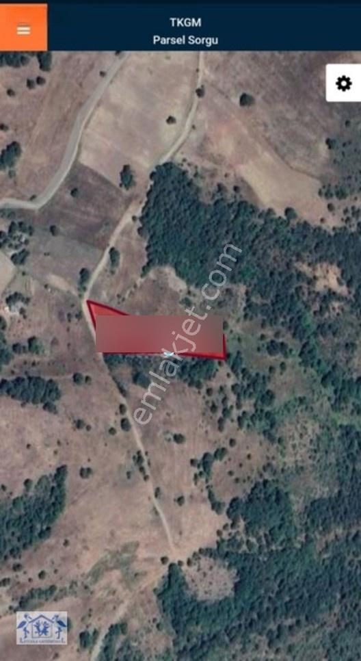 Çilekli'de Resmi Yol Su 1590 M2 Oksijen Deposu Tarla — fotoğraf 2