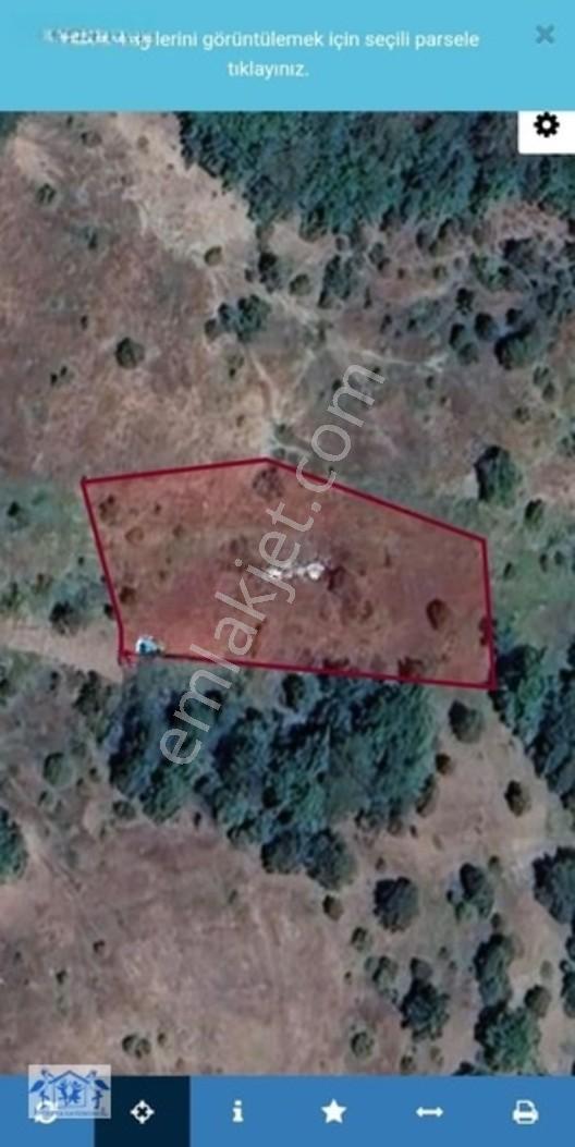 Çilekli'de Resmi Yol Su 1590 M2 Oksijen Deposu Tarla — fotoğraf 3
