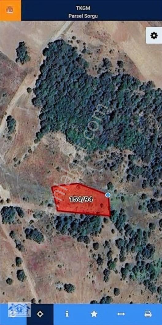 Çilekli'de Resmi Yol Su 1590 M2 Oksijen Deposu Tarla — fotoğraf 5