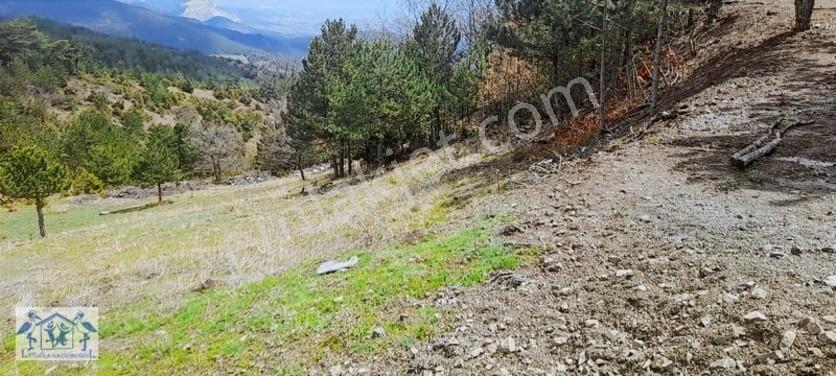 Çilekli'de Resmi Yol Su 1590 M2 Oksijen Deposu Tarla — fotoğraf 8