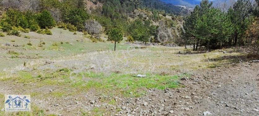 Çilekli'de Resmi Yol Su 1590 M2 Oksijen Deposu Tarla — fotoğraf 9