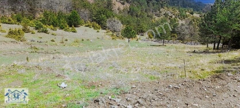 Çilekli'de Resmi Yol Su 1590 M2 Oksijen Deposu Tarla — fotoğraf 11