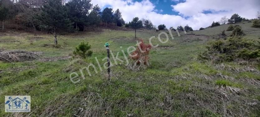 Çilekli'de Resmi Yol Su 1590 M2 Oksijen Deposu Tarla — fotoğraf 12