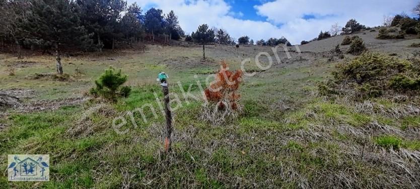 Çilekli'de Resmi Yol Su 1590 M2 Oksijen Deposu Tarla — fotoğraf 13