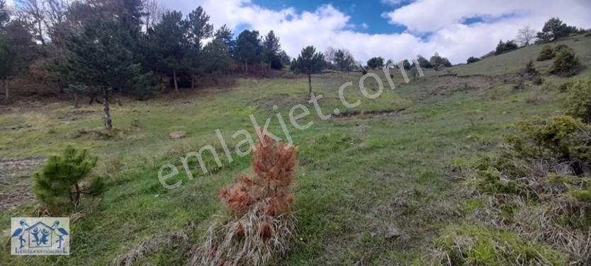 Çilekli'de Resmi Yol Su 1590 M2 Oksijen Deposu Tarla — fotoğraf 14