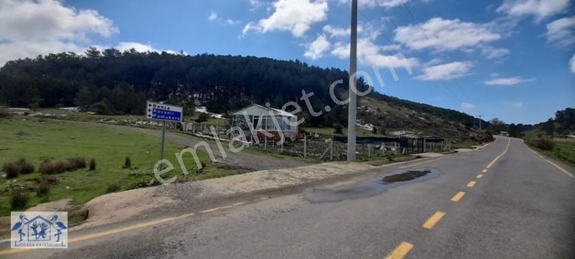 Çilekli'de Resmi Yol Su 1590 M2 Oksijen Deposu Tarla — fotoğraf 16