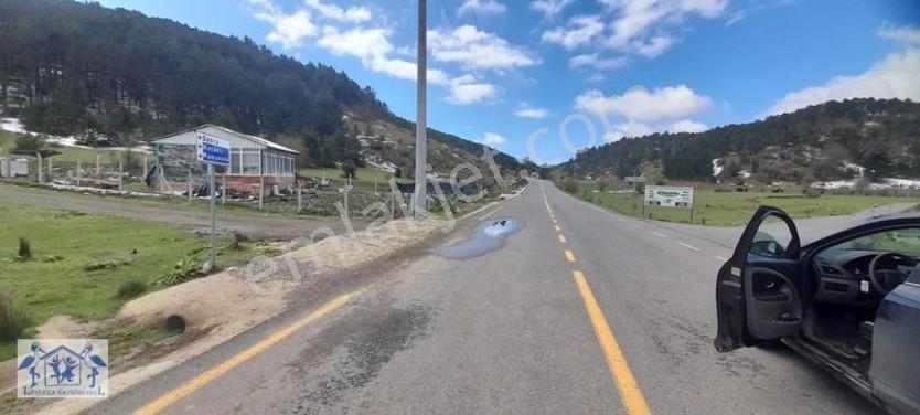 Çilekli'de Resmi Yol Su 1590 M2 Oksijen Deposu Tarla — fotoğraf 18