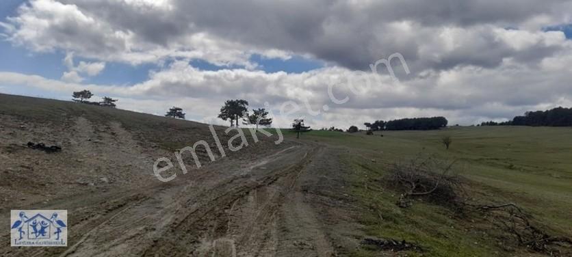 Çilekli'de Resmi Yol Su 1590 M2 Oksijen Deposu Tarla — fotoğraf 19
