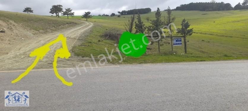 Çilekli'de Resmi Yol Su 1590 M2 Oksijen Deposu Tarla — fotoğraf 21
