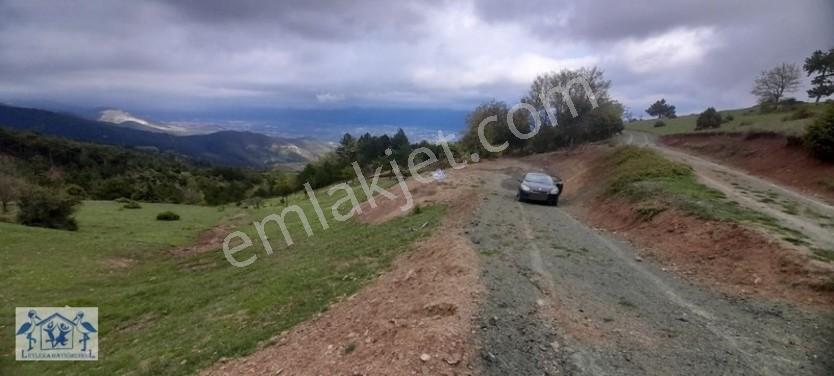 Çilekli'de Resmi Yol Su 1590 M2 Oksijen Deposu Tarla — fotoğraf 23