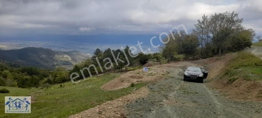 Çilekli'de Resmi Yol Su 1590 M2 Oksijen Deposu Tarla — fotoğraf 24