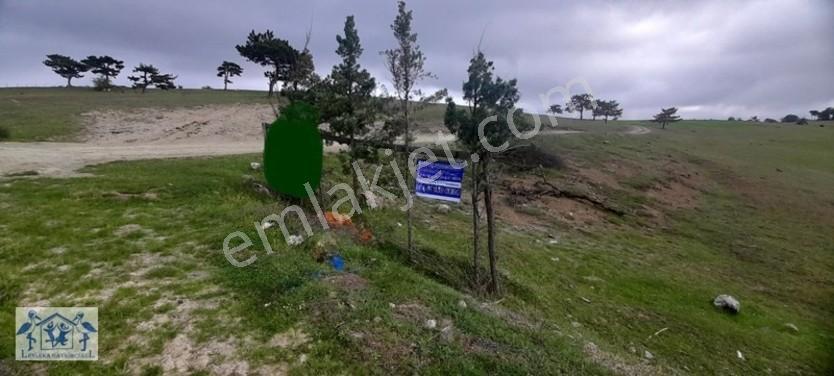 Çilekli'de Resmi Yol Su 1590 M2 Oksijen Deposu Tarla — fotoğraf 25