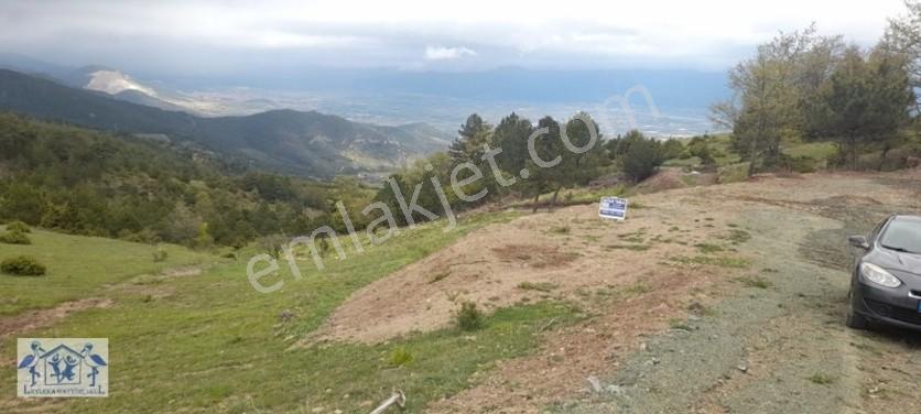 Çilekli'de Resmi Yol Su 1590 M2 Oksijen Deposu Tarla — fotoğraf 27