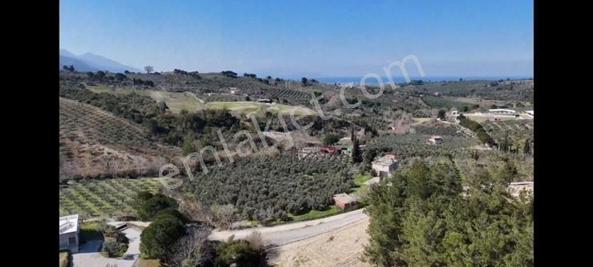 Söke Ağaçlı Da Full Deniz Manzaralı 2 Kat Villa İmarlı Arsa