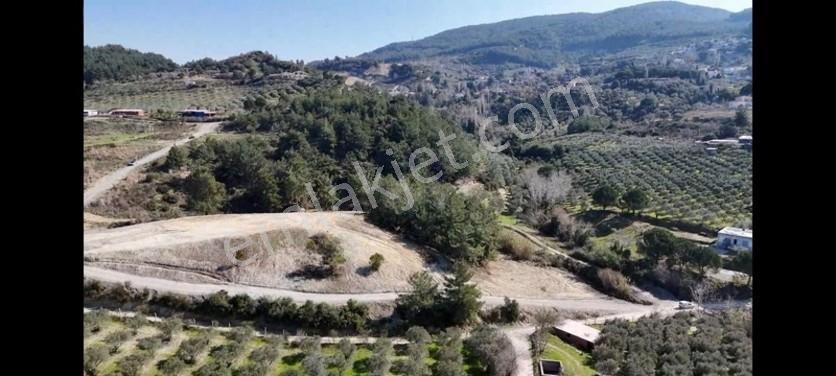 Söke Ağaçlı Da Full Deniz Manzaralı 2 Kat Villa İmarlı Arsa — fotoğraf 5
