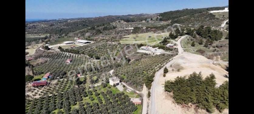 Söke Ağaçlı Da Full Deniz Manzaralı 2 Kat Villa İmarlı Arsa — fotoğraf 7
