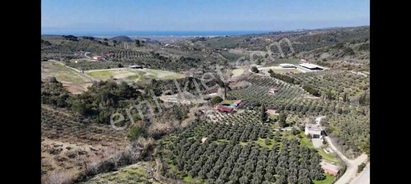 Söke Ağaçlı Da Full Deniz Manzaralı 2 Kat Villa İmarlı Arsa — fotoğraf 8