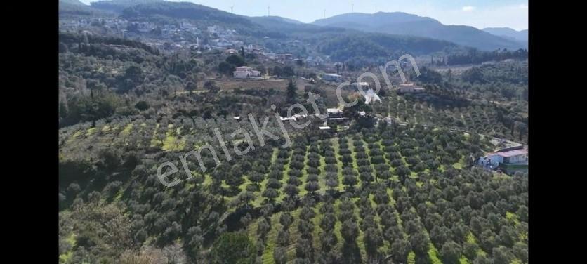Söke Ağaçlı Da Full Deniz Manzaralı 2 Kat Villa İmarlı Arsa — fotoğraf 9