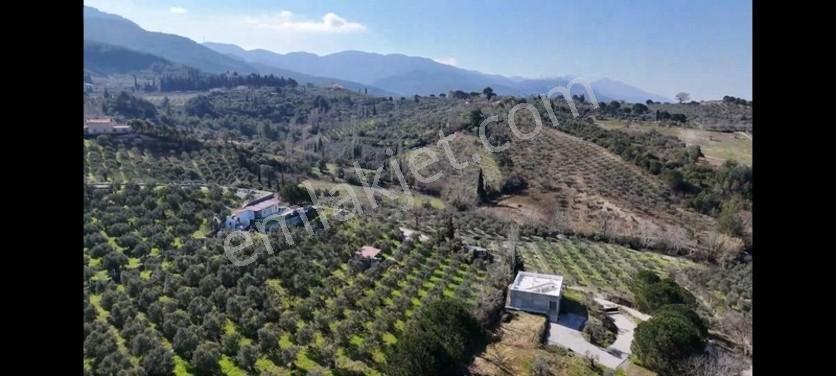 Söke Ağaçlı Da Full Deniz Manzaralı 2 Kat Villa İmarlı Arsa — fotoğraf 10