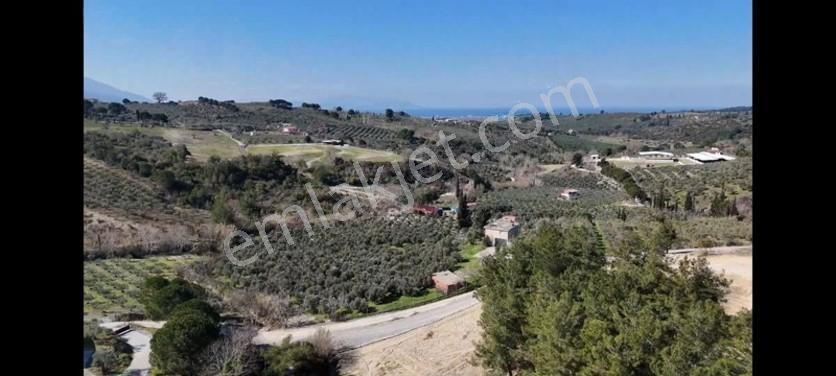 Söke Ağaçlı Da Full Deniz Manzaralı 2 Kat Villa İmarlı Arsa — fotoğraf 11