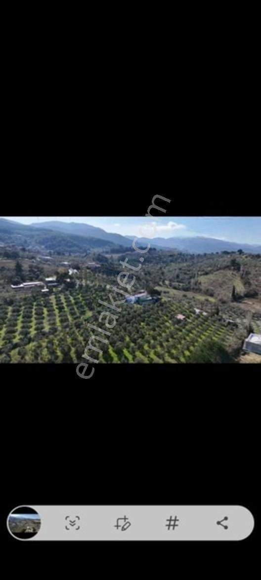 Söke Ağaçlı Da Full Deniz Manzaralı 2 Kat Villa İmarlı Arsa — fotoğraf 13