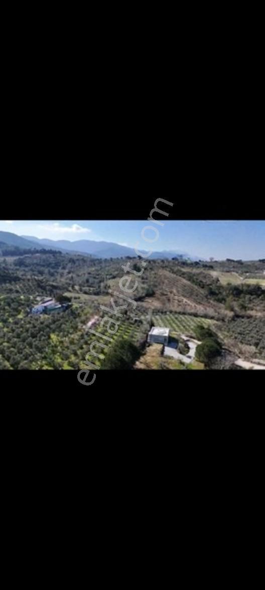 Söke Ağaçlı Da Full Deniz Manzaralı 2 Kat Villa İmarlı Arsa — fotoğraf 14
