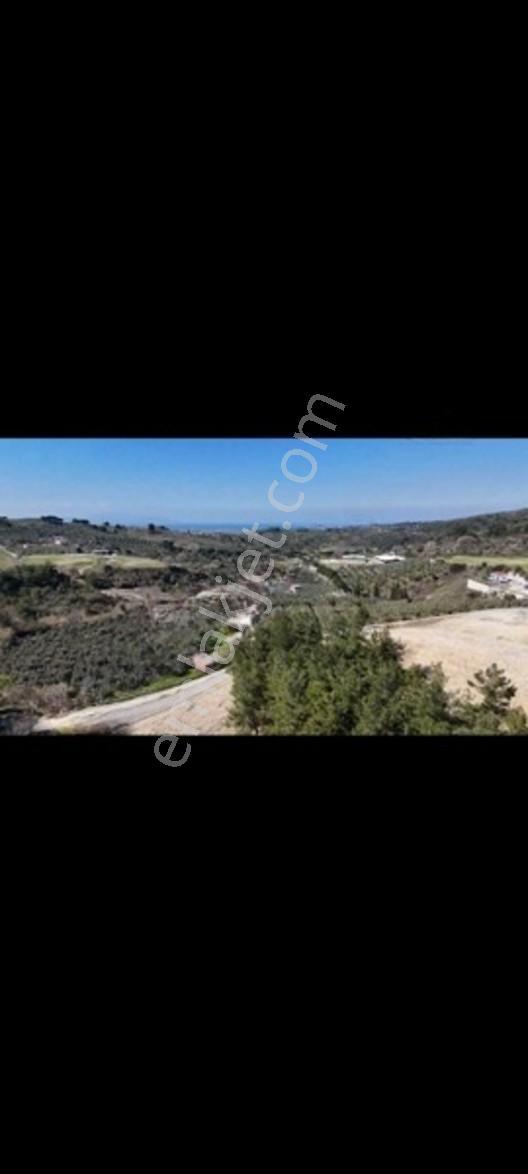 Söke Ağaçlı Da Full Deniz Manzaralı 2 Kat Villa İmarlı Arsa — fotoğraf 16