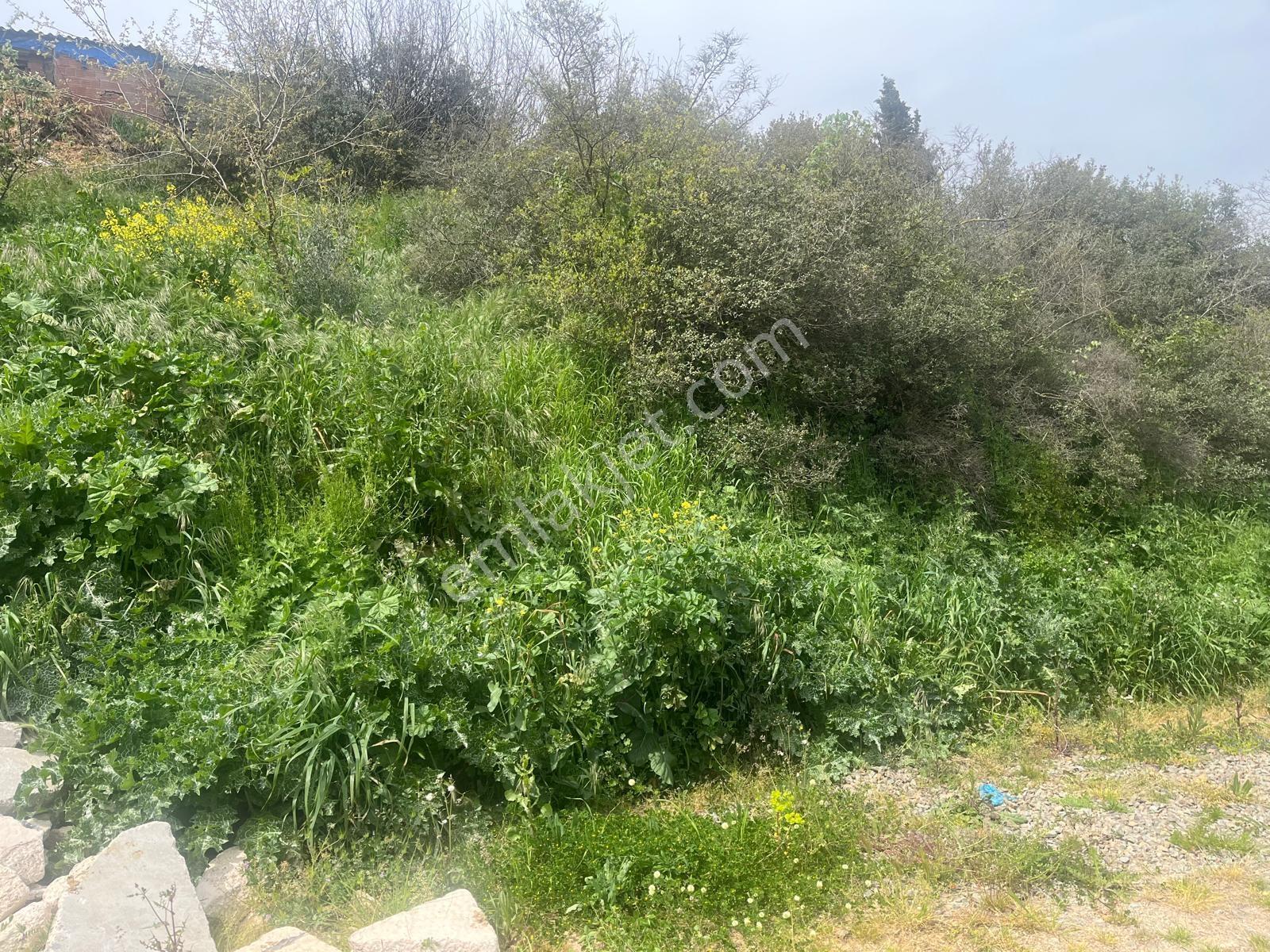 Deniz Manzaralı | Osmangazi Köprüsü'ne Çok Yakın,fırsat Arsa — fotoğraf 10