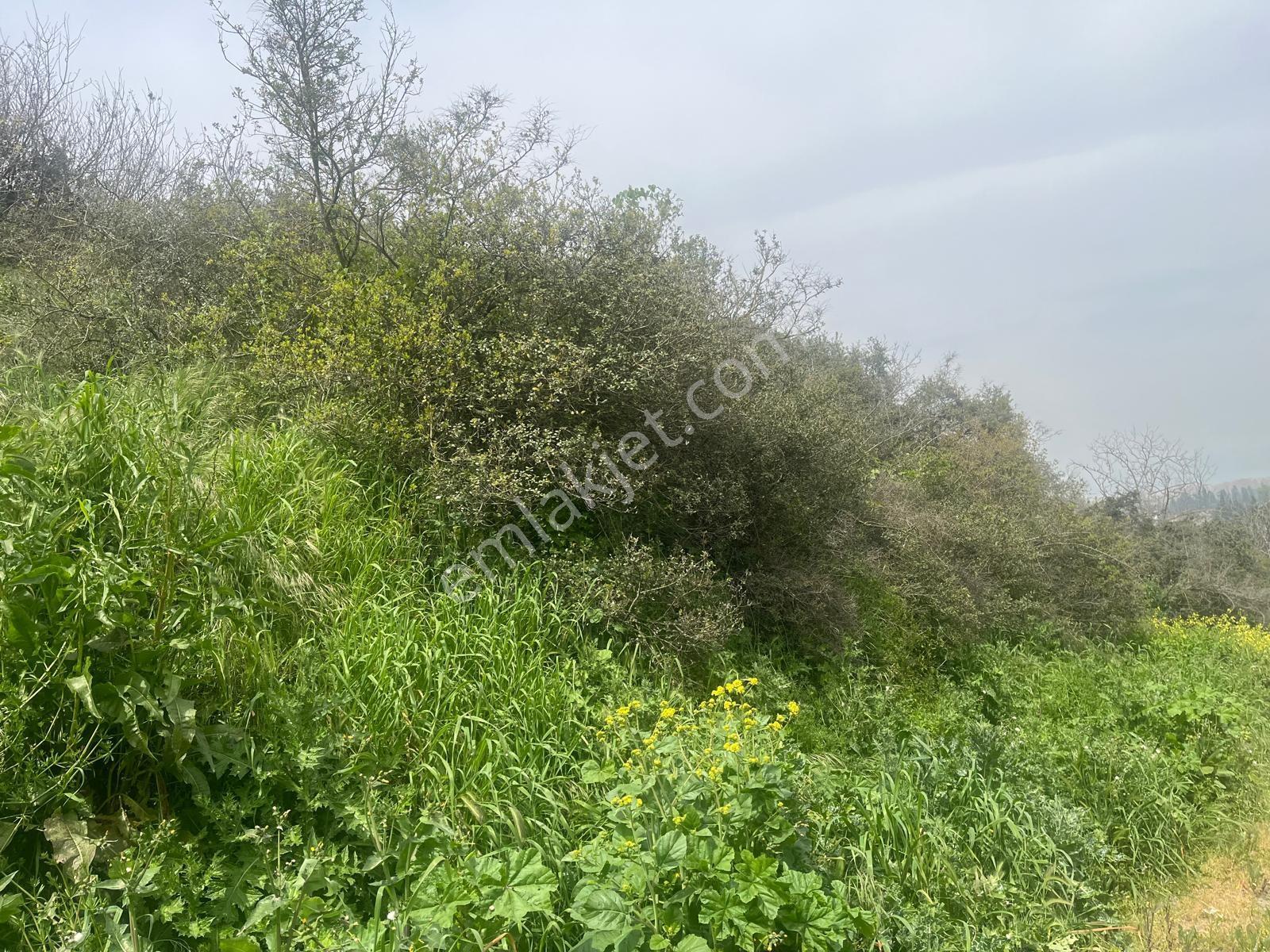 Deniz Manzaralı | Osmangazi Köprüsü'ne Çok Yakın,fırsat Arsa — fotoğraf 12
