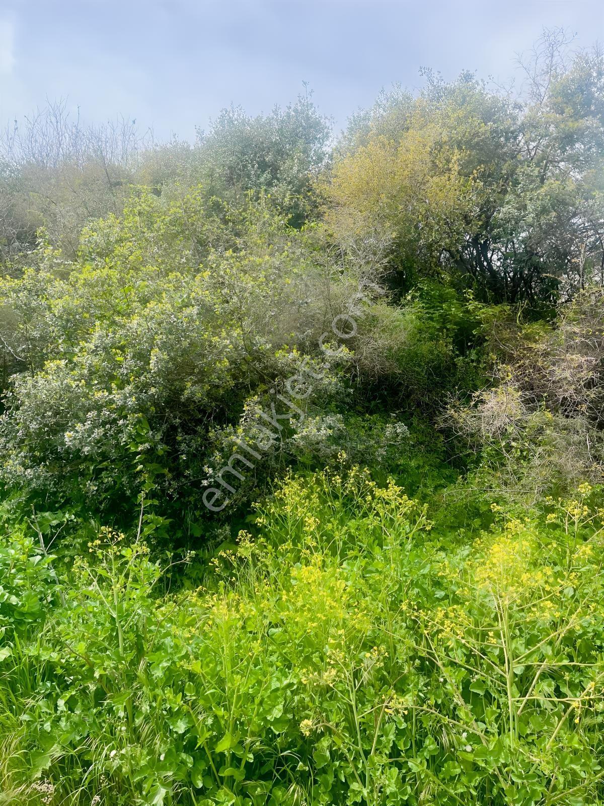 Deniz Manzaralı | Osmangazi Köprüsü'ne Çok Yakın,fırsat Arsa — fotoğraf 17