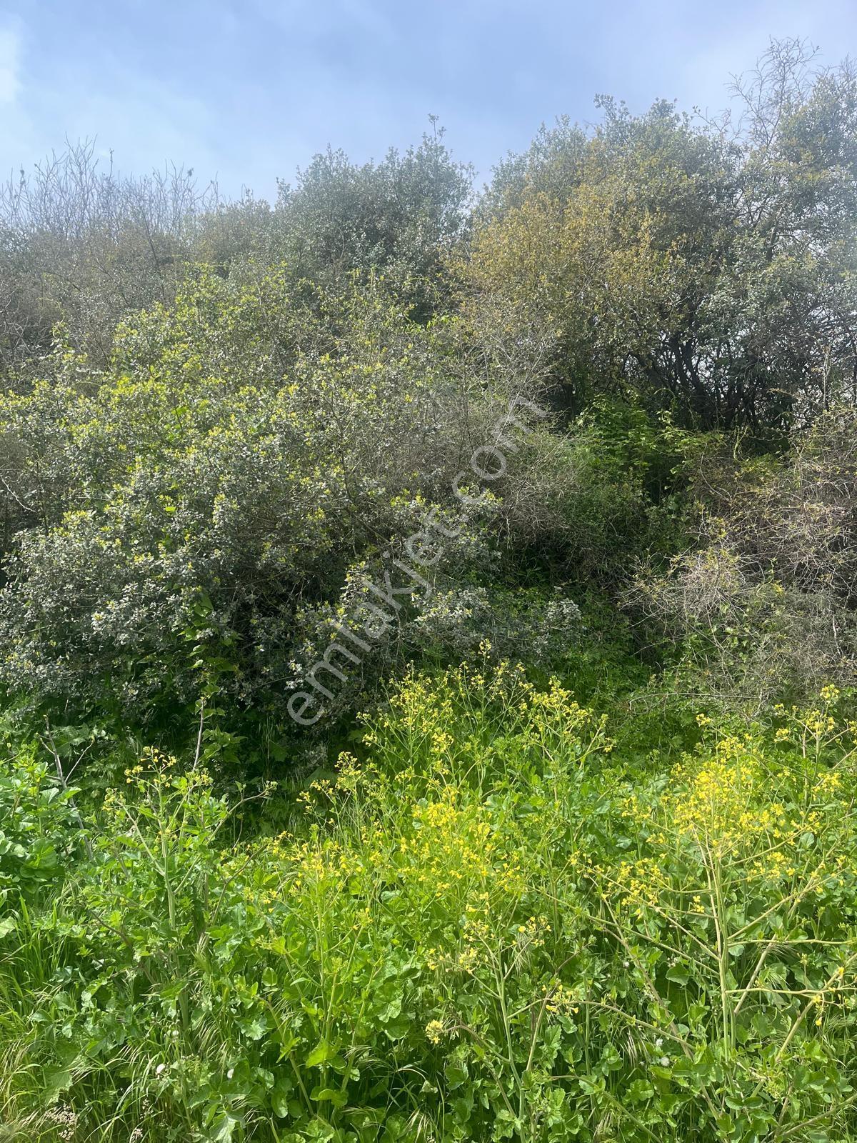 Deniz Manzaralı | Osmangazi Köprüsü'ne Çok Yakın,fırsat Arsa — fotoğraf 18