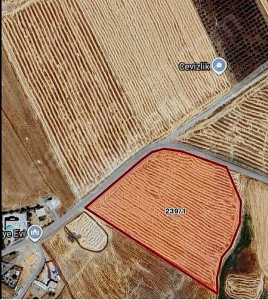Karen'den Sur/karabaşta Satılık 7.200 M2 Tarla Dönüm Bazı 1.750 — fotoğraf 2