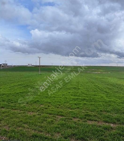 Karen'den Sur/karabaşta Satılık 7.200 M2 Tarla Dönüm Bazı 1.750 — fotoğraf 5