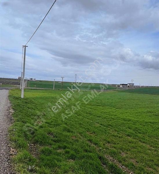 Karen'den Sur/karabaşta Satılık 7.200 M2 Tarla Dönüm Bazı 1.750 — fotoğraf 8