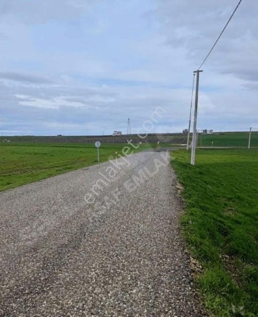 Karen'den Sur/karabaşta Satılık 7.200 M2 Tarla Dönüm Bazı 1.750 — fotoğraf 9
