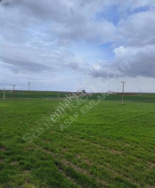 Karen'den Sur/karabaşta Satılık 7.200 M2 Tarla Dönüm Bazı 1.750 — fotoğraf 10
