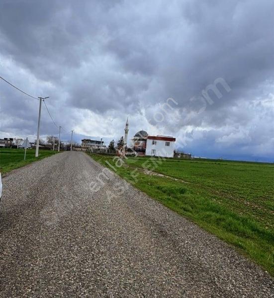 Karen'den Sur/karabaşta Satılık 7.200 M2 Tarla Dönüm Bazı 1.750 — fotoğraf 11